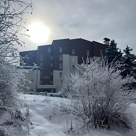 4 Pers, Pied Des Pistes, Wifi, Netflix, Lave-vaisselle Apartment